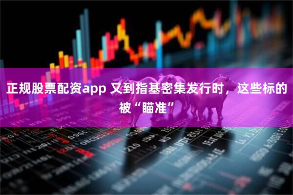 正规股票配资app 又到指基密集发行时，这些标的被“瞄准”